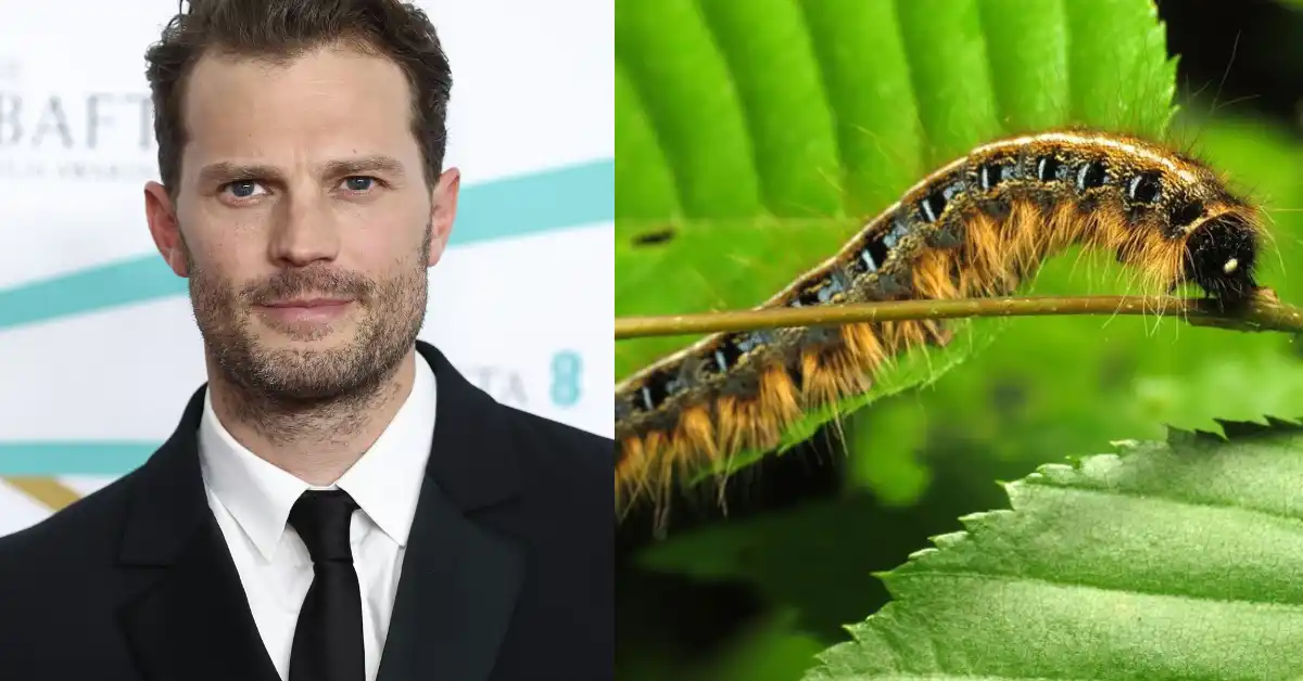 Jamie Dornan's Terrifying Encounter with Toxic Caterpillars in Portugal