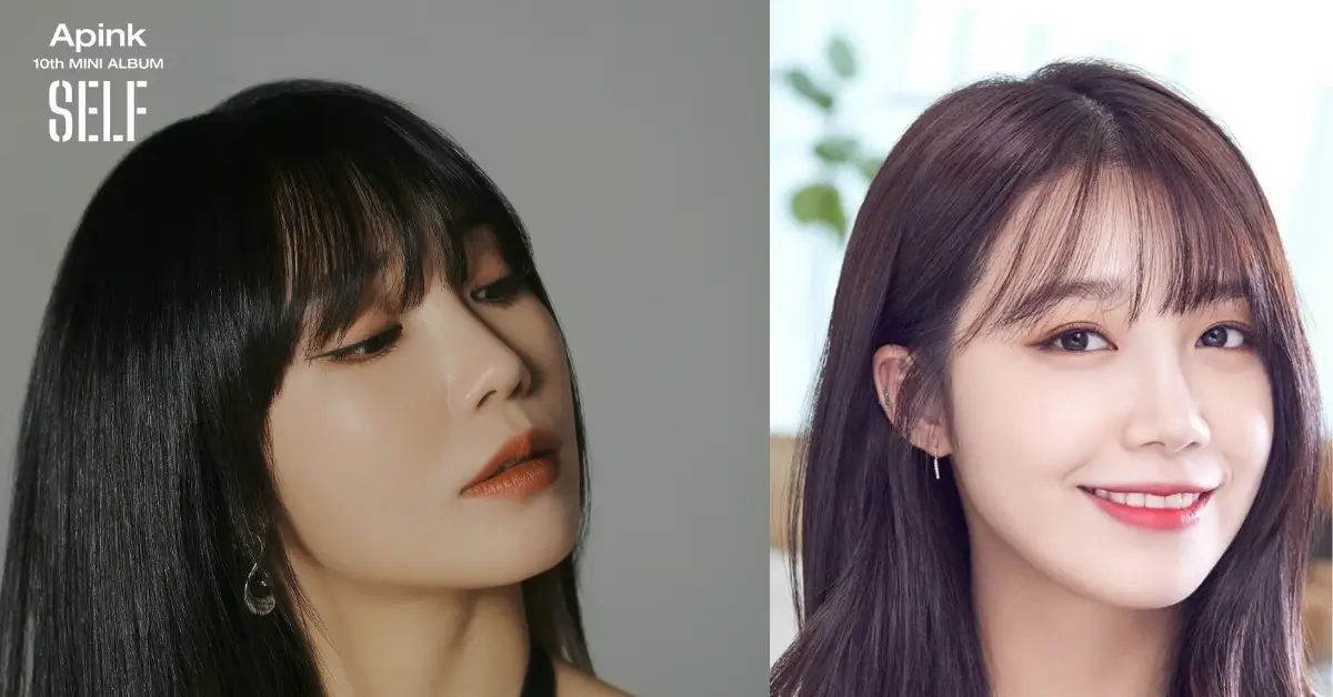 Stalker of Apink’s Eunji, Who Followed Her for 3 Years, Receives Probation and 100,000 KRW Fine