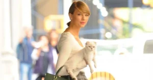 taylor swift with her cat olivia benson