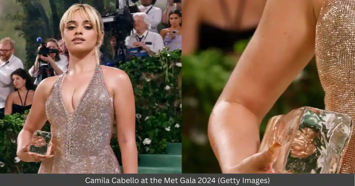 Camila Cabello Breaks Down the Truth About Her Met Gala 2024 Ice Purse