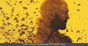 Jason Statham's The Beekeeper Now Available for Streaming on OTT