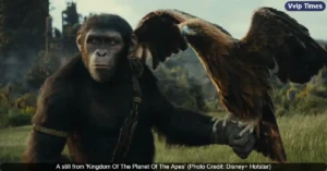 ‘Kingdom of the Planet of the Apes’ Delivers Stunning Visuals and Strong Performances