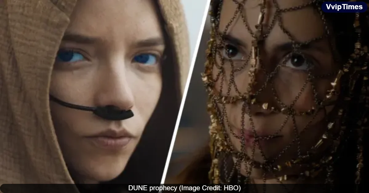 Upcoming TV Premiere Dates 2024: A List of TV Shows for November and December 2024