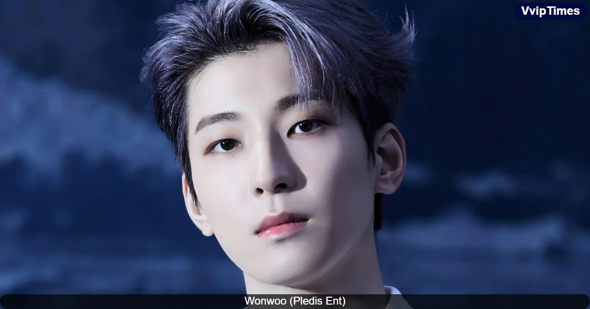 Seventeen's Wonwoo Faces Backlash for Past Comments on Girls' Generation