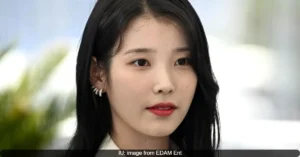 IU's Defamation Case: Woman Pleads for Leniency, Verdict Scheduled for December 3