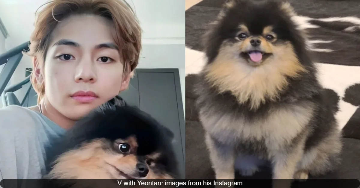 BTS’ V’s Pet Dog Yeontan Passes Away: the idol commemorates with old videos, pens heart-breaking letter to ARMYs