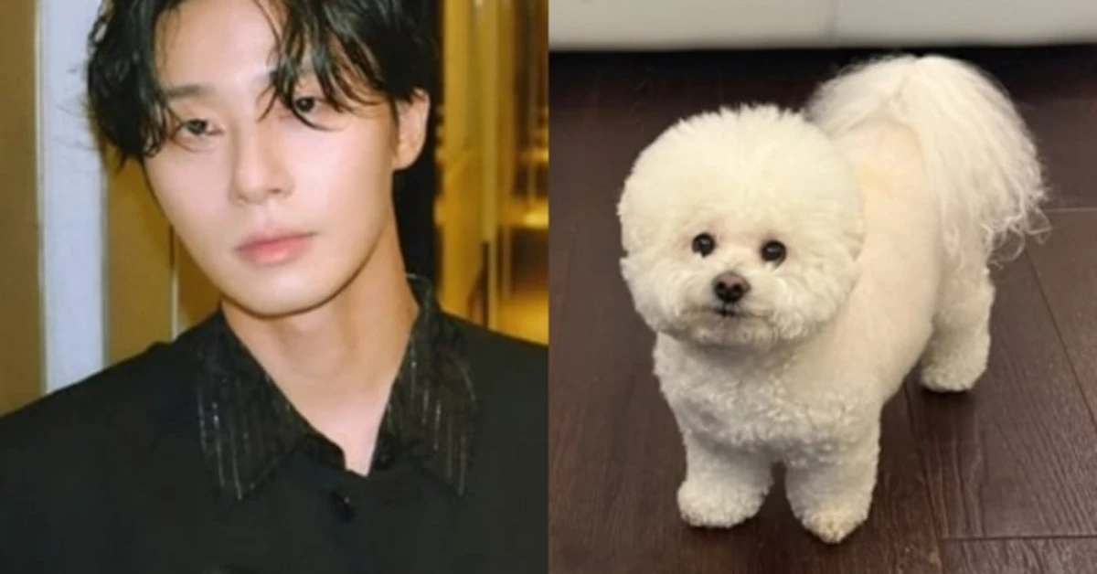 Park Seo Joon Puts an End to Kim Soo Hyun Feud Rumors by Sharing a Heartwarming Update About His Beloved Dog Simba on Social Media on March 19, 2025