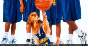 Air Bud Returns Confirmed for Summer 2026: New Movie Brings Back the Basketball-Playing Dog