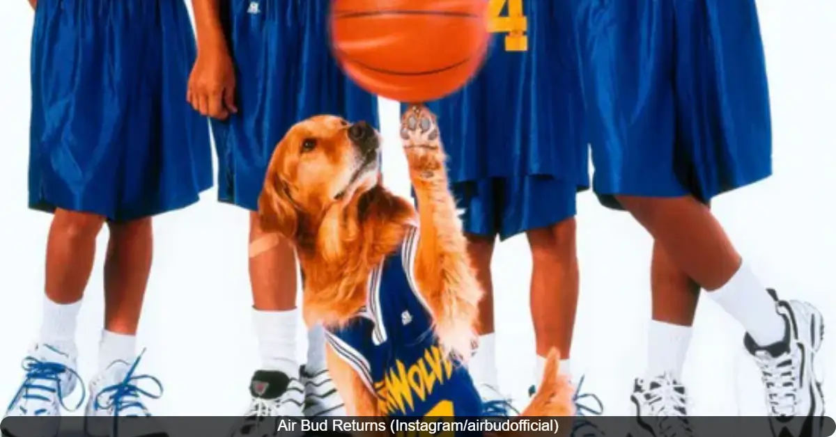 Air Bud Returns Confirmed for Summer 2026: New Movie Brings Back the Basketball-Playing Dog