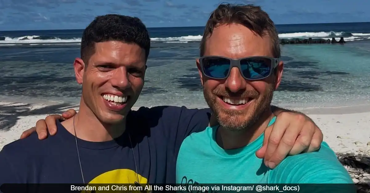 Marine Biologists Chris Malinowski and Brendan Talwar Win Netflix's "All the Sharks" Competition