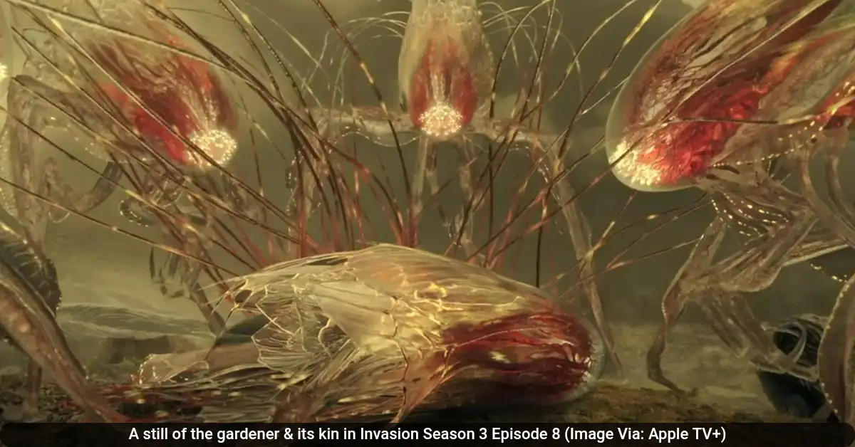 A still of the gardener & its kin in Invasion Season 3
