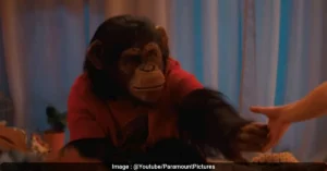 Primate Movie: Your Next Horror Obsession Is A Rabid Chimp Named Ben