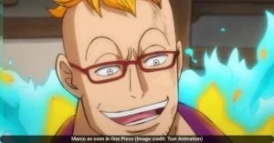 Marco as seen in One Piece