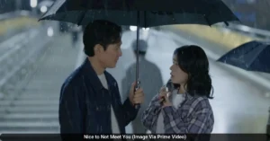 Nice to Not Meet You (Image Via Prime Video)