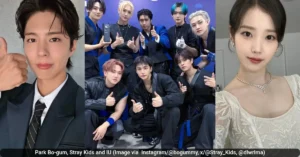 Stray Kids, IU, Park Bo-gum, and More Win Big at 10th Asia Artist Awards: Complete Winners List and Highlights