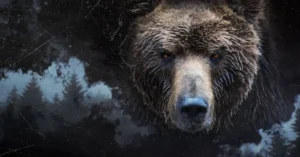 Alone Alone Season 13 Episode 8: Release Date, Time, Streaming Details, and Episode Recap