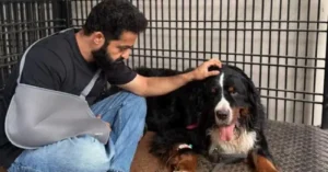 Jr NTR Loses Pet Dog Bagheera, Shares Emotional Instagram Note: ‘Your Absence Leaves a Silence Too Large’