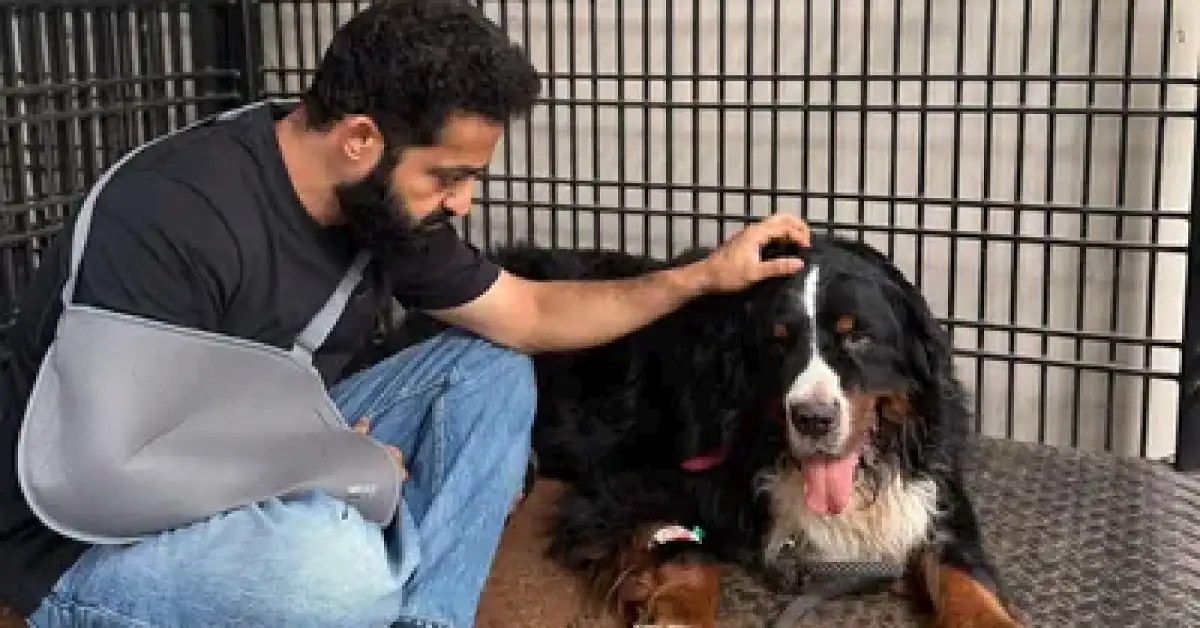 Jr NTR with Bagheera. 55kb Jr NTR Loses Pet Dog Bagheera, Shares Emotional Instagram Note: ‘Your Absence Leaves a Silence Too Large’