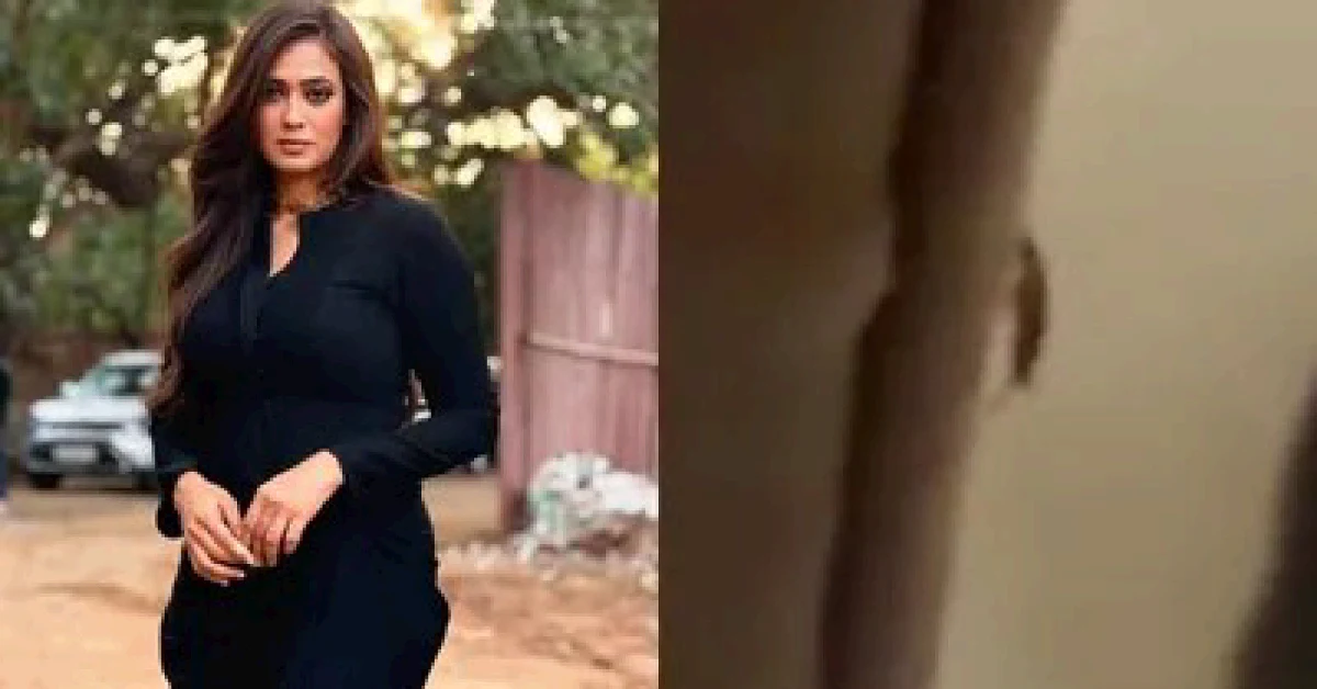 Shweta Tiwari Finds Cockroach in Swiggy Instamart Order, Tags FDA Chief Tukaram Mundhe: ‘Aap Kahan Ho?’