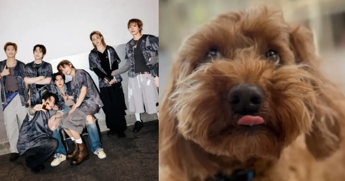 webp 67 BTS Tour Dog Stoney Blue Will Not Join Latin America Leg, ARMY Express Disappointment