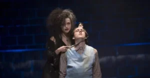 image 3 Why Neville Longbottom Should Have Killed Bellatrix Lestrange in Harry Potter
